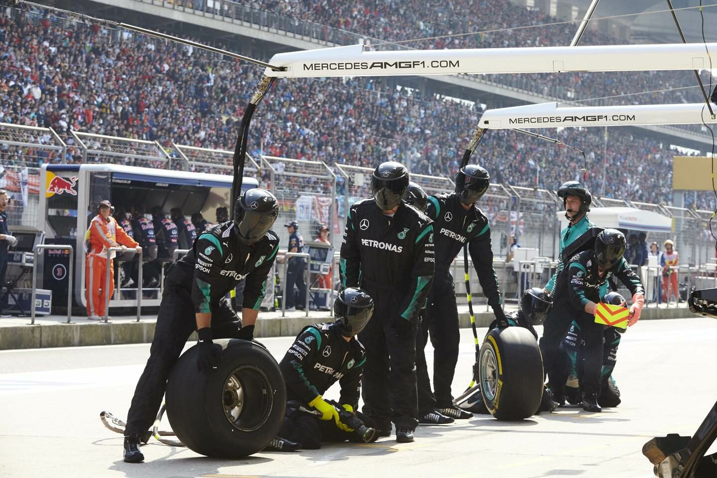 images_Formule1_2015_nieuws-april_strategy_report_gp_china_nieuwe_realiteit_mercedes_f1